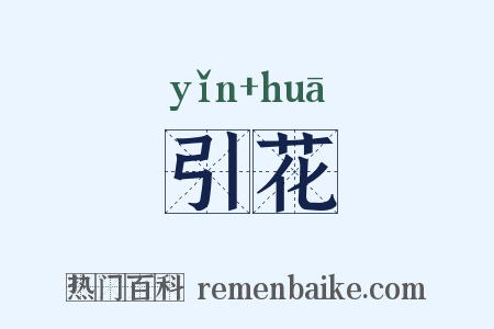 引花是什么意思的图片